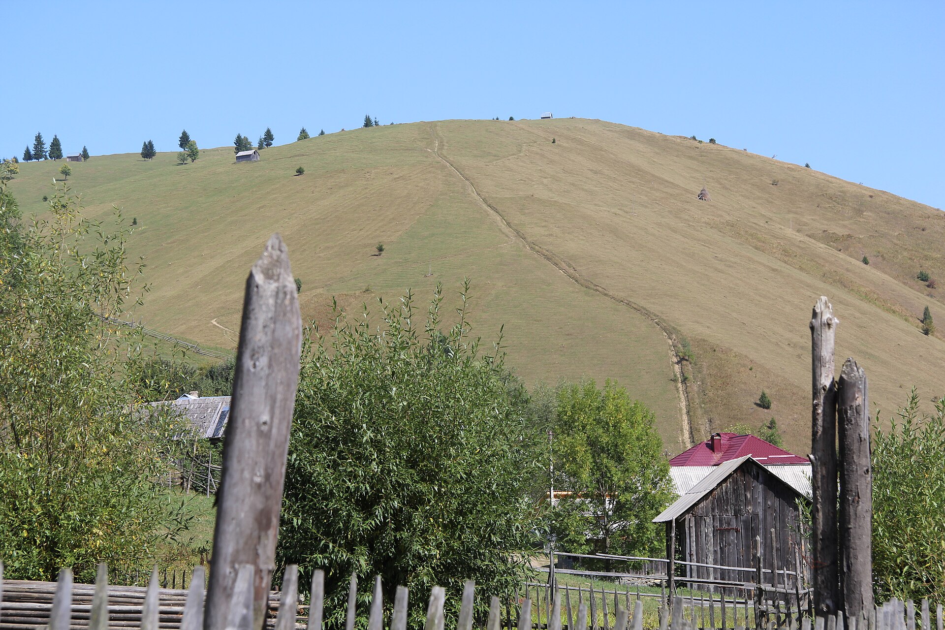 Codrul Secular Slătioara — fotografia 1