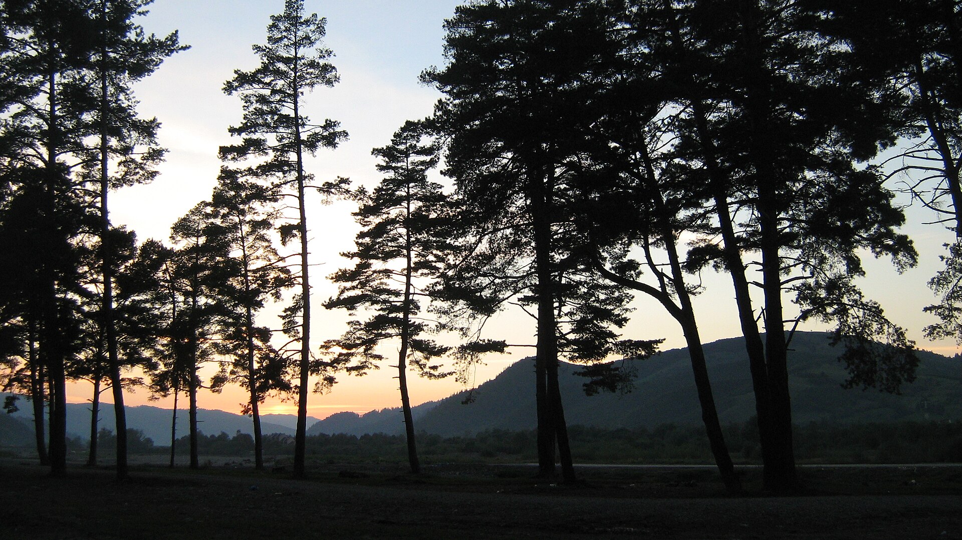 Piatra Pinului și Piatra Șoimului — fotografia 1