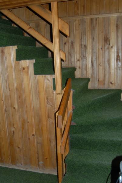 Cabana Botoșana — fotografia 5